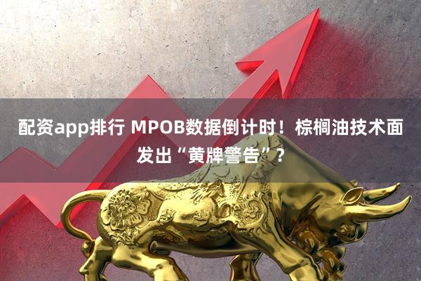 配资app排行 MPOB数据倒计时！棕榈油技术面发出“黄牌警告”？