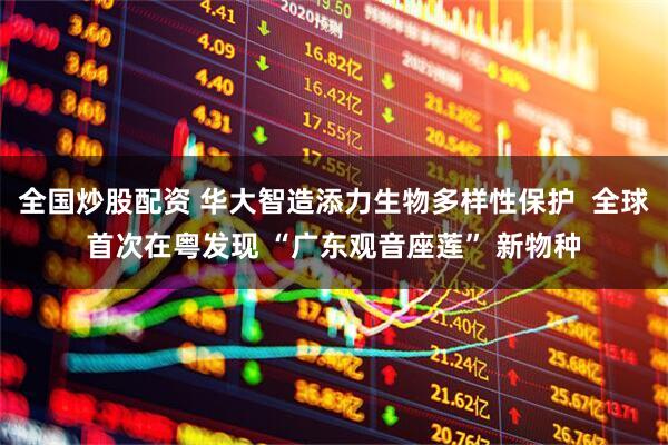 全国炒股配资 华大智造添力生物多样性保护  全球首次在粤发现 “广东观音座莲” 新物种