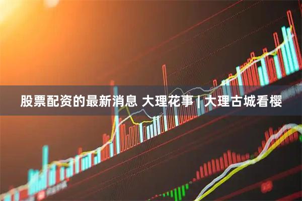 股票配资的最新消息 大理花事 | 大理古城看樱