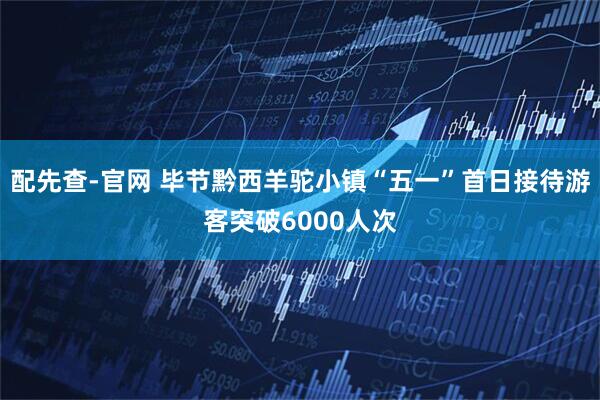 配先查-官网 毕节黔西羊驼小镇“五一”首日接待游客突破6000人次